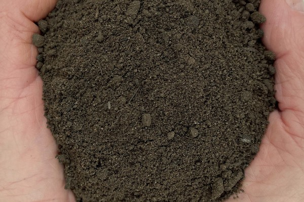 GP10 Plus (Sandy Loam) Topsoil (S)