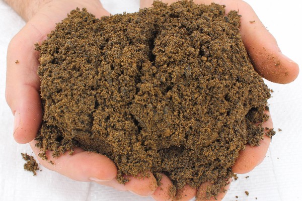 Ericaceous Elevated pH Topsoil