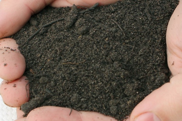 Ericaceous BS Topsoil