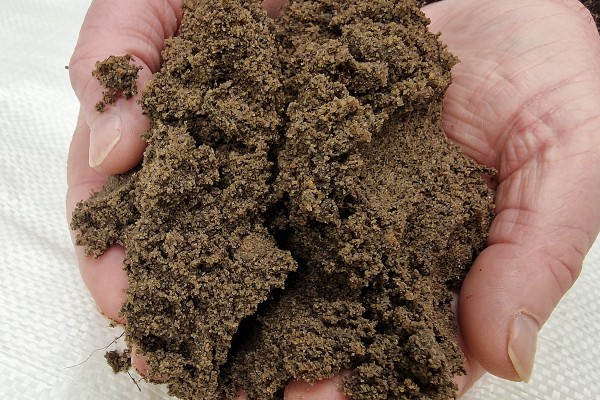 Lawn Topsoil (PL)