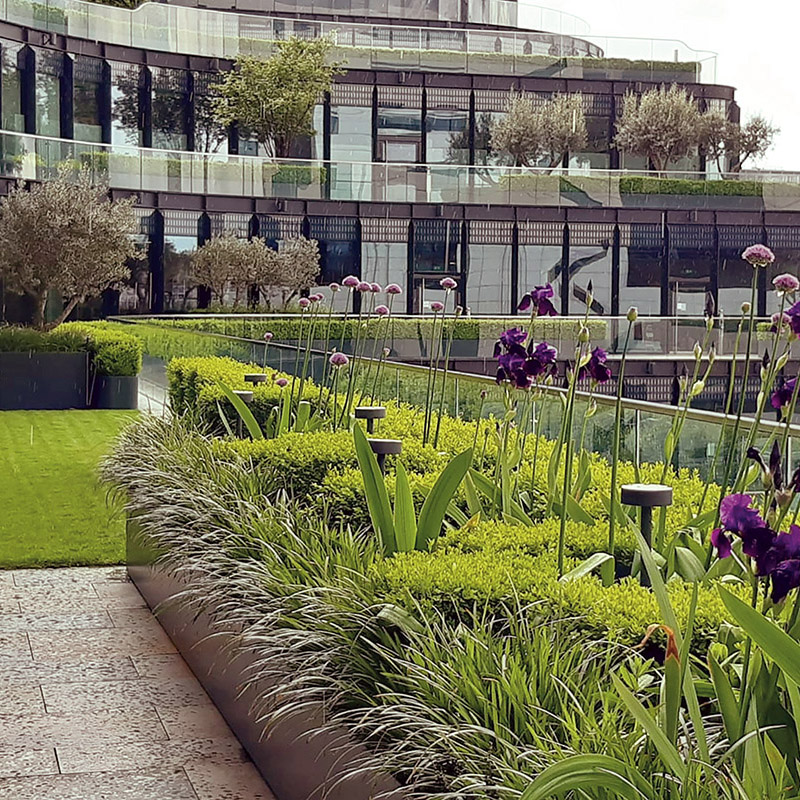 LIGHTWEIGHT TOPSOIL AND SUBSOIL FOR INTENSIVE GREEN ROOFS